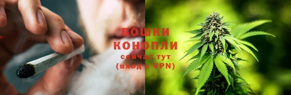 ГАЛЛЮЦИНОГЕННЫЕ ГРИБЫ Абинск