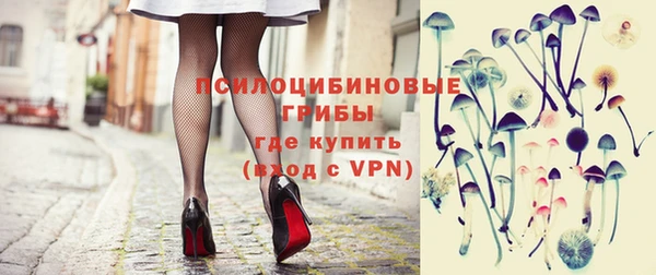 ГАЛЛЮЦИНОГЕННЫЕ ГРИБЫ Абинск