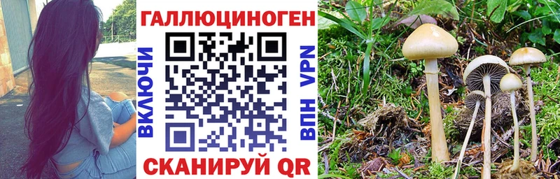 Галлюциногенные грибы Cubensis Инза